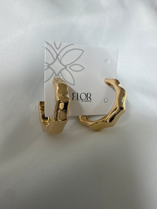 Outros - Brinco argola organica