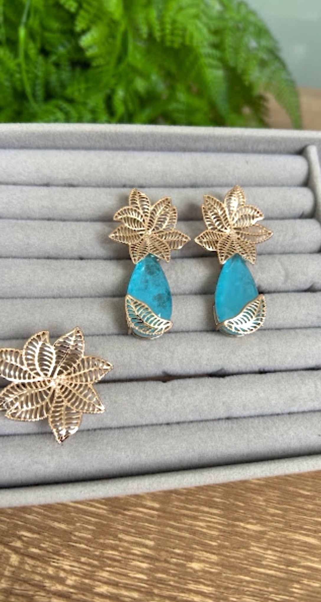 Brinco e anel regulavel Insp Herreiraa Paraiba