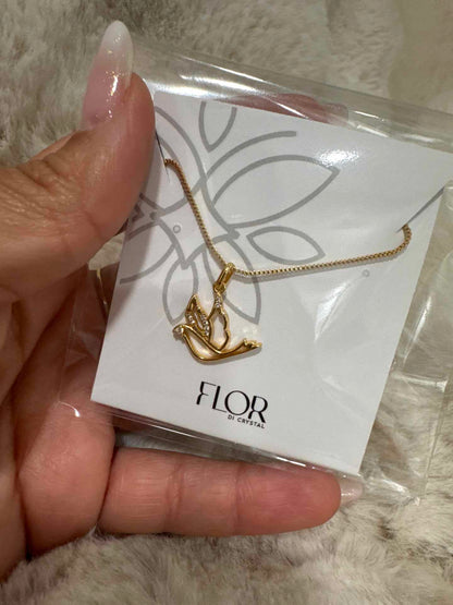 Chocker espirito santo