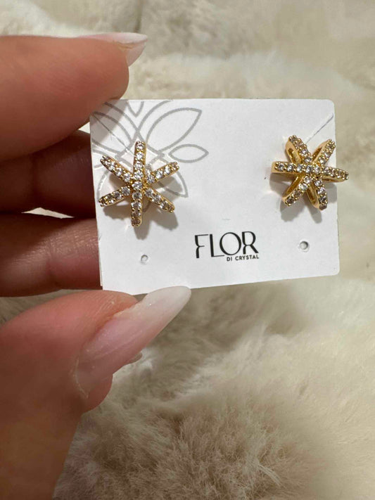 Brinco - estrela cravejada caixa alta